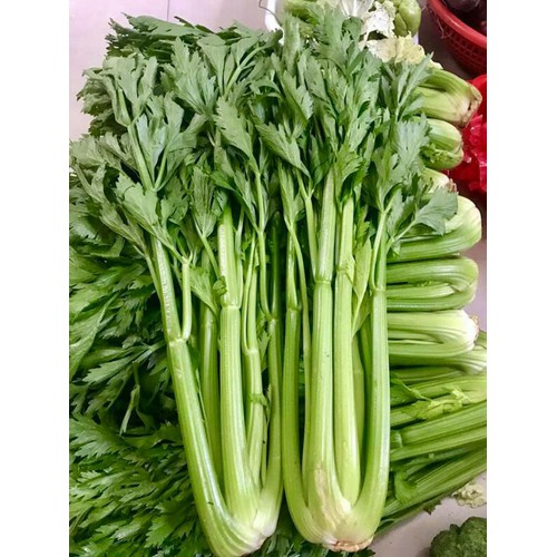 (HỘ KINH DOANH) NGUYỄN VĂN KIỆN